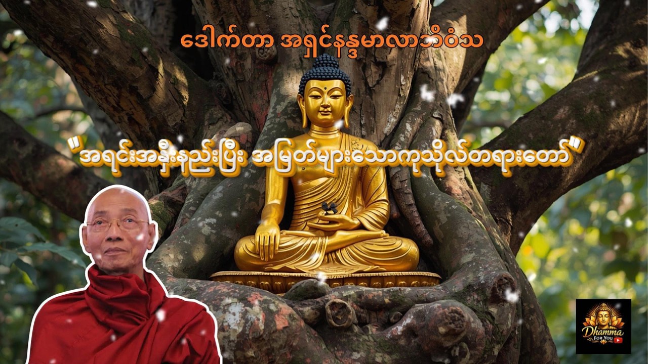 အရင်းအနှီးနည်းပြီး အမြတ်များသော ကုသိုလ်တရားတော်မြတ်