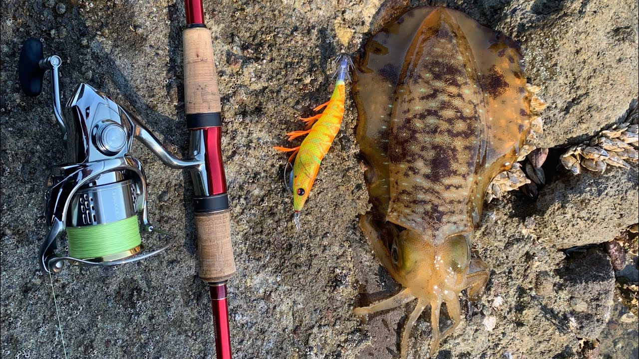 地磯 エギング 足元は丁寧に…