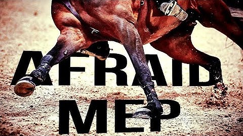 Afraid || Equestrian Music Video [MEP]