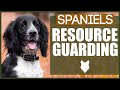 How To Stop Your SPANIEL RESOURCE GUARDING