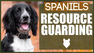 How To Stop Your SPANIEL RESOURCE GUARDING