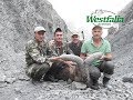 Dagestan Tur Jagd in Aserbaidschan mit Westfalia Jagdreisen