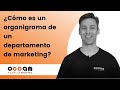 Cmo es un organigrama de un departamento de marketing