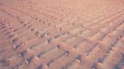 وجاءت سكره الموت بالحق تقليد ياسر الدوسري في مصر بمسجد سلامه الويفي القارئ خضر أحمد من جزر القمر