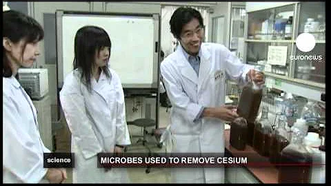 euronews science - Бактериии против цезия-137