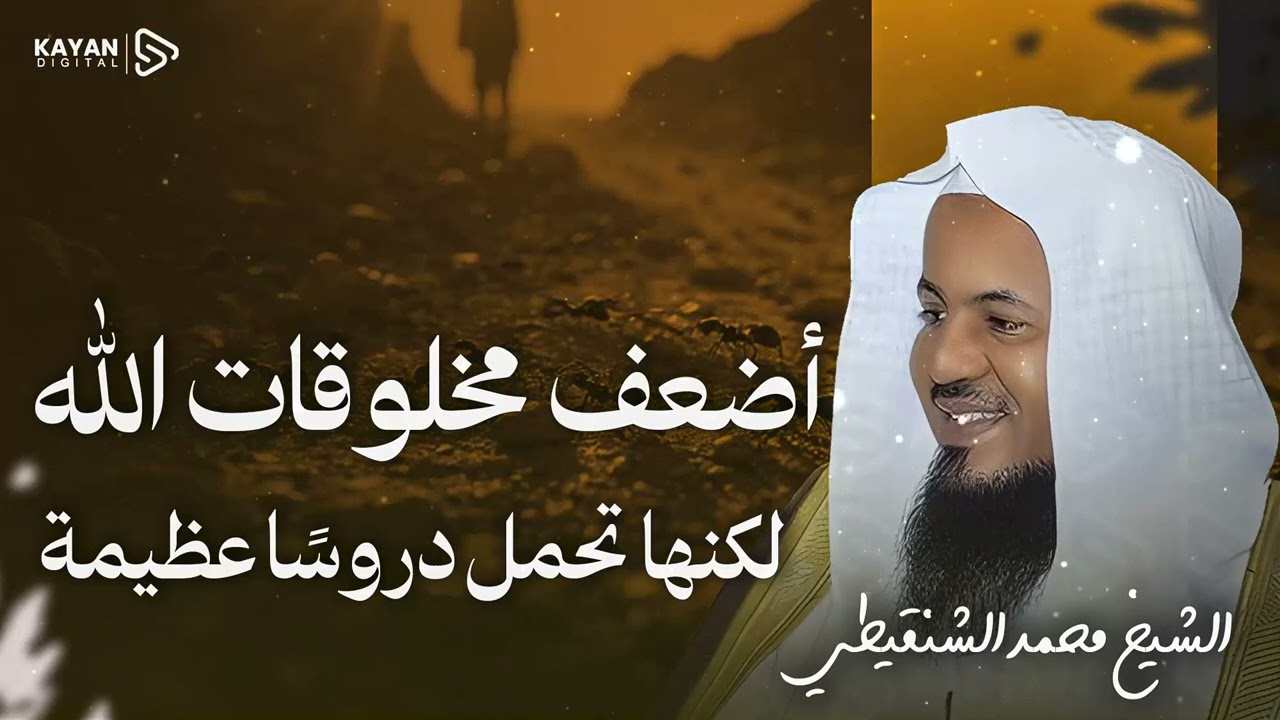 أضعف مخلوق الله يوقف جيشاً! 🐜 تأملات في قصة النملة وعظمة الله 🎧 الشيخ محمد الشنقيطي