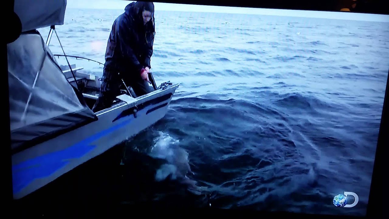 Gun fishing Alaska last frontier YouTube