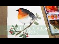 Watercolor Painting for Beginners Robin Bird/ Animals/ Step by Step tutorial