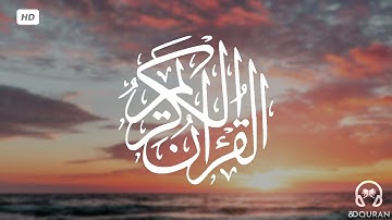 قرآن كريم بصوت ناصر القطامي | حالات واتس اب دينية