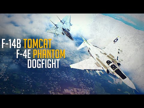 F-4E Phantom Vs F-14B Tomcat Dogfight | Digital Combat Simulator | DCS |