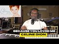 Celine Dion - Because You Loved Me (Instrumental)