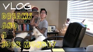 Pursuing Dreams, Husky Disruptions, Dancing with a Sock Monkey [VLOG]