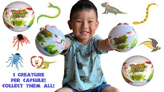Whats Inside The Ball? Pocket Zoo Lifelike Creatures