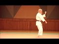 Ref:X7B5Nf31c20 Vido du kata de base - heian sandan - karat style shotokan