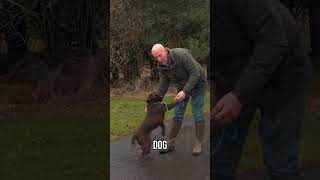 Lead Training With Mocha