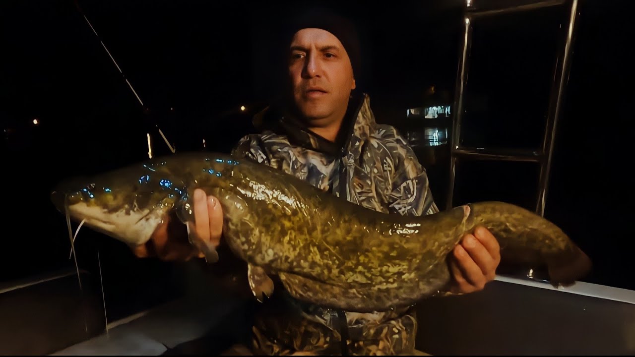 Yayın Balığı Oltası - Yayın Avı - Balık Avı