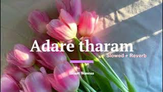 Adare Tharam (Slowed   Reverb) ❤️‍🩹💐 Manoparakata II Shan Hassim   #trending #manoparakata