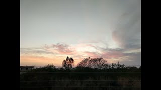 Trees waving the clouds.