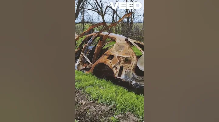 The Rise and Fall of Vito Genovese: Mafia Boss Chronicles