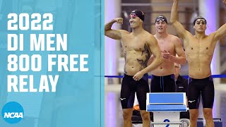 Men's 800 freestyle relay | 2022 NCAA swimming championships