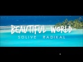 Solive feat radikal  beautiful world