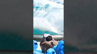 ヤバイ量の海水の塊炸裂!! #Shorts #鴨川シーワールド #シャチ #Kamogawaseaworld #Orca #Killerwhale
