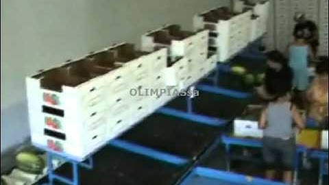 Ταξινόμηση καρπουζιών.Grading,Sizing machines processing classification lines for watermalon.