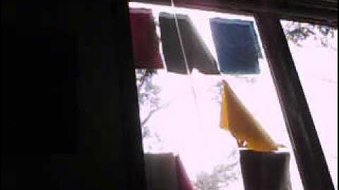 robin attacks window