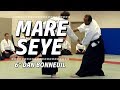 Mare seye 6dan akido dojo pascal norbelly le 6 avril 2018