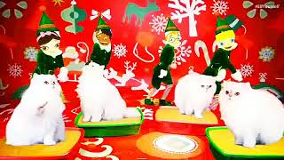 Elf Yourself | Episode 2: Cats! | Leo, Quincy, Annie and June (2025 - 2026)