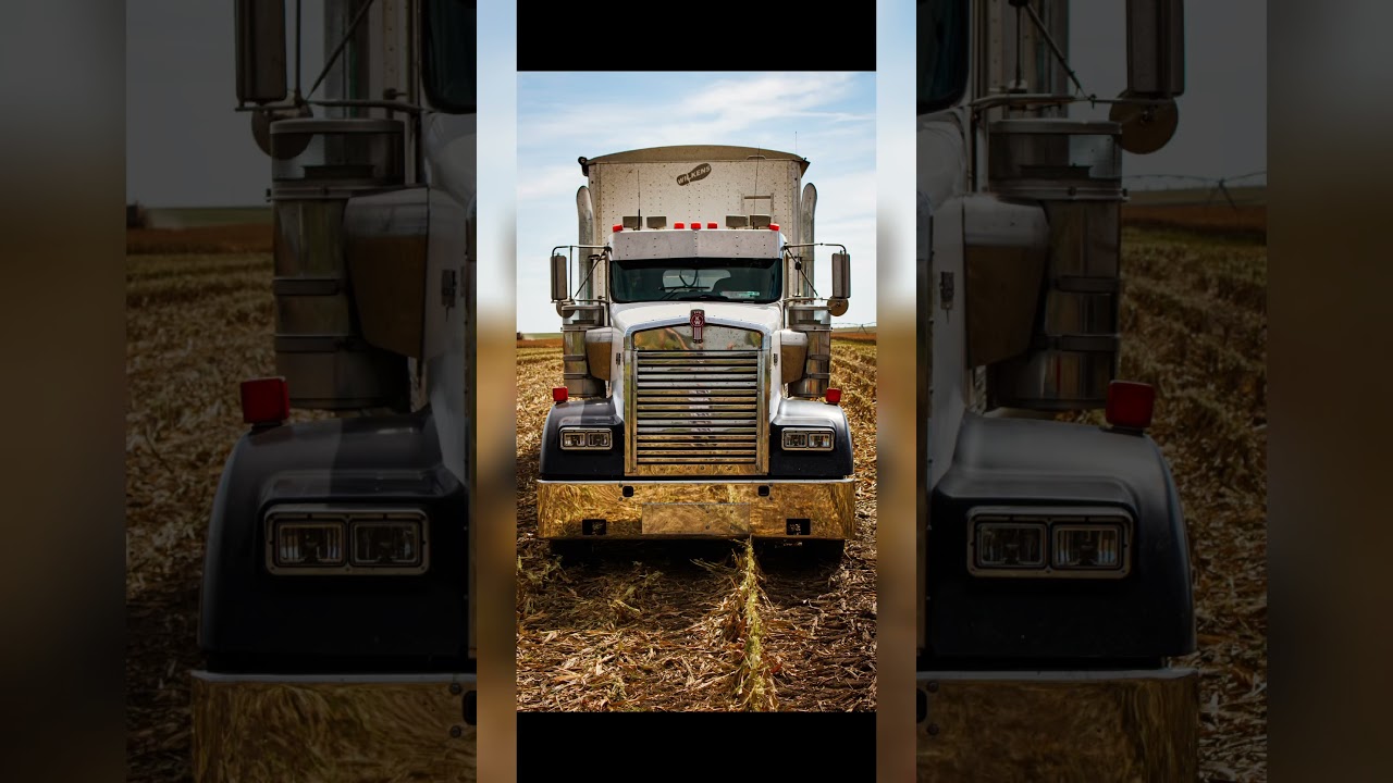 Little photo shoot with the w900 and 