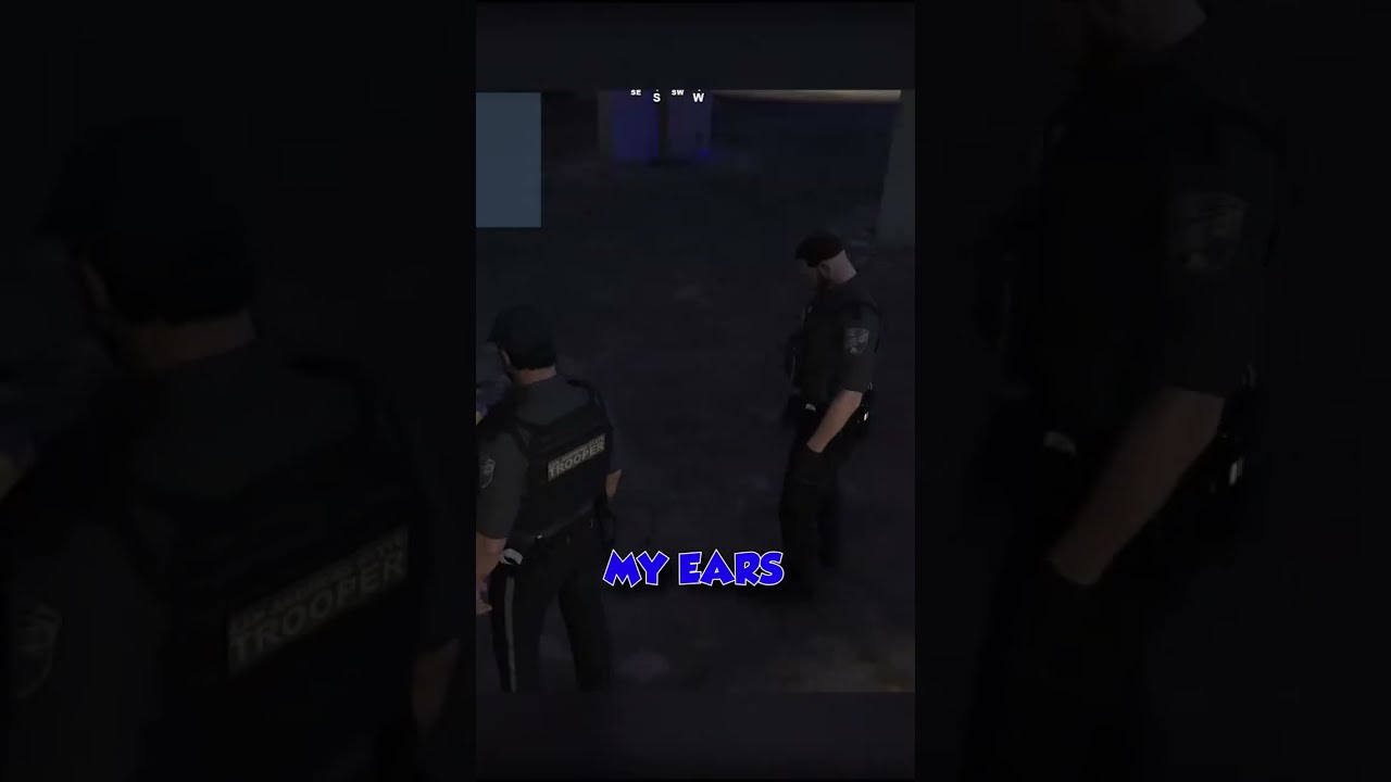 PRCRP OPENED A WHITELIST SERVER | GTA RP