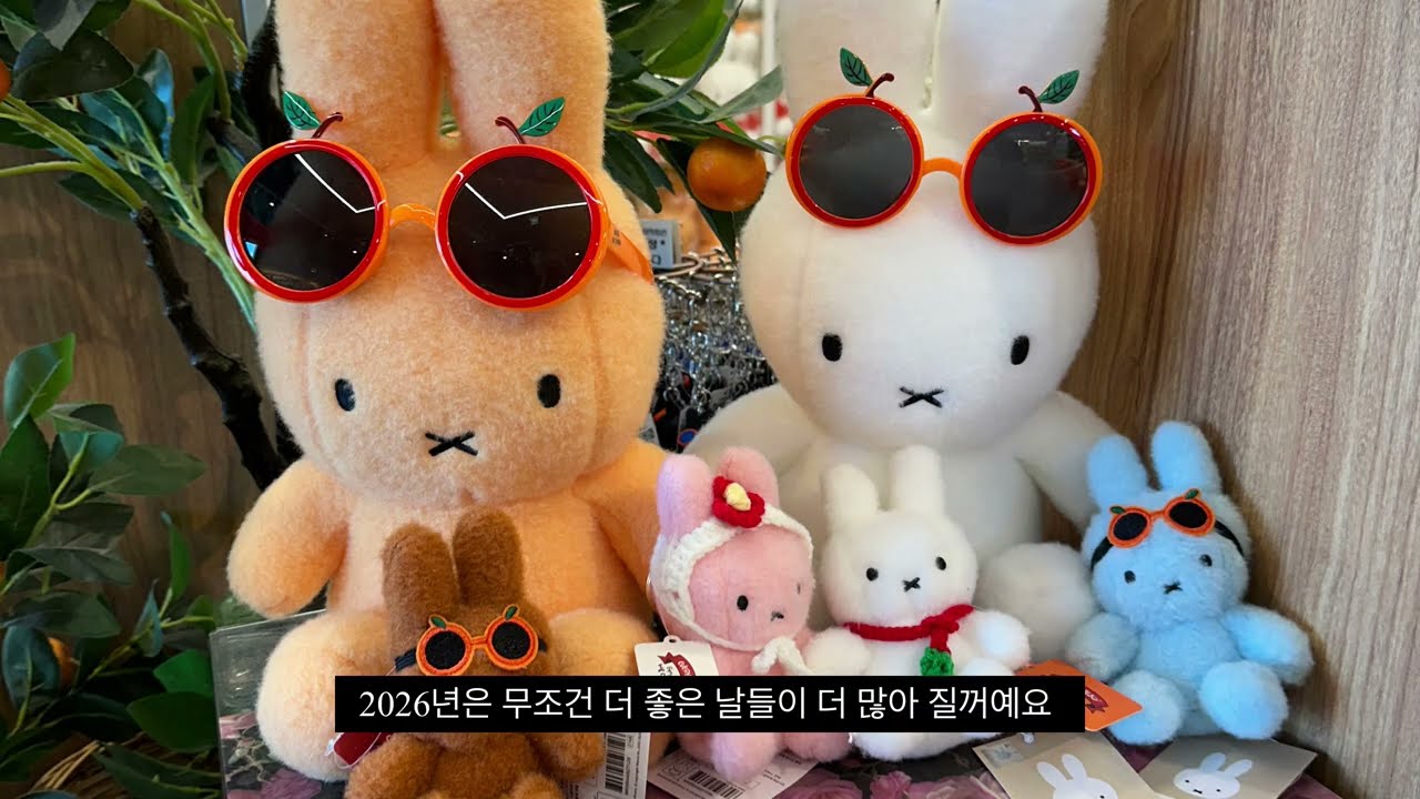 25년 마지막 주간