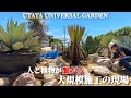 【大規模施工】ドライガーデンdiy｜巨大アガベを移植して最高に迫力満点のロックガーデンを作る回！