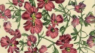 Color shift vector (discovered using GANspace)