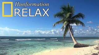 Hunformation | RELAX (HD)