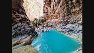 🎼🎼🎼🎼🎼🎼