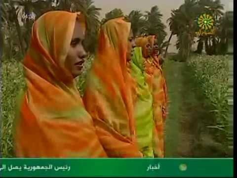الفنان النوبي عبد الرحيم شاهين تونجيلا