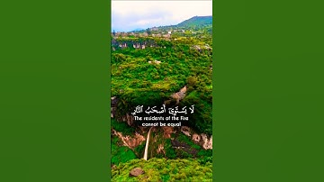 تلاوة خاشعة قرأن كريم تخشع له القلوب #elmulquranعلم #تلاوة #trend #المصحف  #قران_كريم #aslam