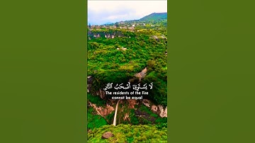 تلاوة خاشعة قرأن كريم تخشع له القلوب #elmulquranعلم #تلاوة #trend #المصحف  #قران_كريم #aslam