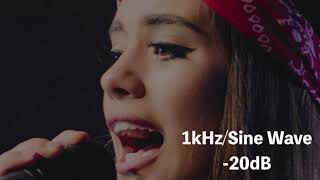 1kHz サイン波 -20dB