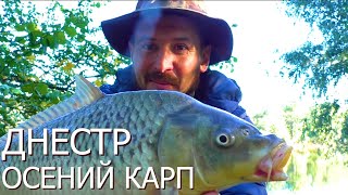 Рыбалка На Сазана Осенью На Реке Днестр