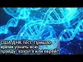 USA КИНО 1259. Тест ДНК. Пришло время узнать всю правду
