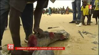 Sénégal et Souverainté screenshot 5