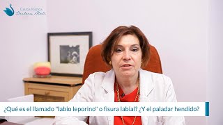 Qué Es El Llamado Labio Leporino O Fisura Labial? Y El Paladar Hendido?