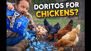 I Gave My Chickens Cool Ranch Doritos… Here’s What Happened @doritos
Do chickens like Doritos? In this funny backyard chicken test, I feed Cool Ranch Doritos to the chickens before collecting eggs. This funny backyard chicken experiment was too weird not to film.
If you like backyard chicken content, funny farm moments, odd food tests, and egg collecting videos, this one is for you.
#doritos #chickens #backyardchickens #eggs #funnyvideo #chickenvideo #eggcollecting #farmfun FOUND THIS VIDEO HELPFUL?
You can support Gen III Antique Auto by clicking the Super Thanks button below this video. Every contribution helps us produce more hands-on repairs, Model T engine builds, product reviews, and antique automobile videos.
Thank you for supporting the channel! If you enjoy these videos and want to support the channel, shop through our Amazon storefront: https://www.amazon.com/shop/gen3antiqueauto
It costs you nothing extra and helps Gen III Antique Auto enormously.
As an Amazon Associate, Gen III Antique Auto earns from qualifying purchases. I Gave My Chickens Cool Ranch Doritos… Here’s What Happened @doritos