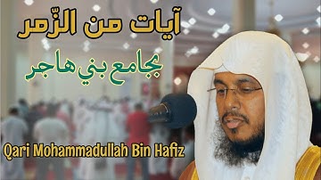 آيات من سورة الزمر للقارئ محمد بن حفيظ الله | Qari Mohammadullah Bin Hafiz