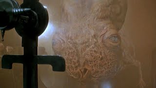 Edric the guild navigator of dune