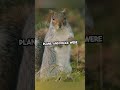 🐿️ Squirrel Kicked Off Airplane?! | Hilarious True Story ✈️😂