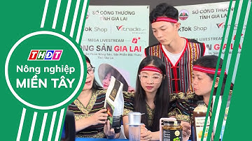 Nông dân Tây Nguyên với chuyển đổi số | Nông nghiệp Miền Tây